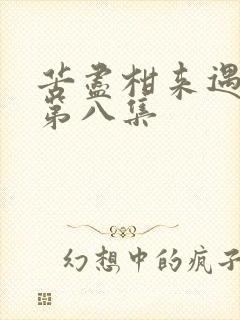 苦尽柑来遇见你第八集