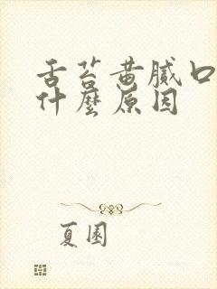 舌苔黄腻口苦是什么原因