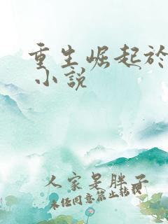 重生崛起于香江 小说