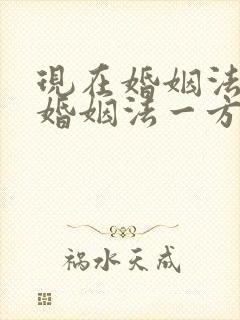 现在婚姻法离婚婚姻法一方不同意