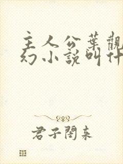 主人公叶观的玄幻小说叫什么