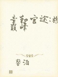 章节官途:权力巅峰