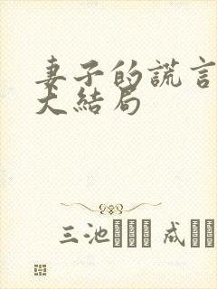 妻子的谎言小说大结局