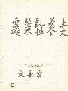 云鬓乱惹上权臣逃不掉全文版