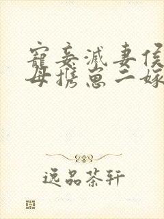 宠妾灭妻侯门主母携崽二嫁暴君