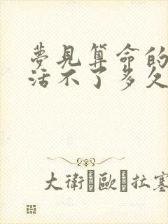 梦见算命的说我活不了多久了