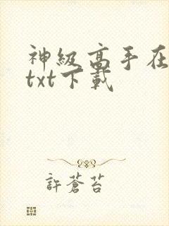 神级高手在都市txt下载