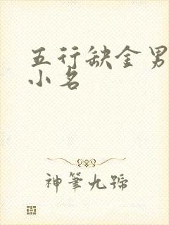 五行缺金男孩的小名