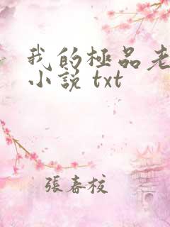 我的极品老婆 小说 txt