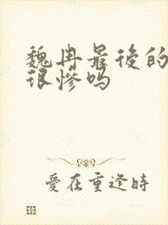 魏冉最后的结局很惨吗