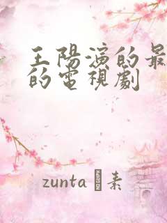 王阳演的最好看的电视剧