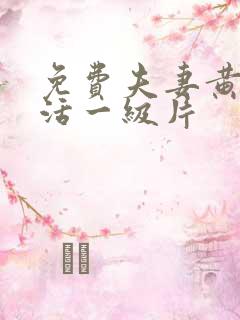 免费夫妻黄色生活一级片