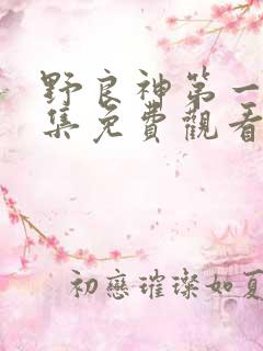 野良神第一季全集免费观看