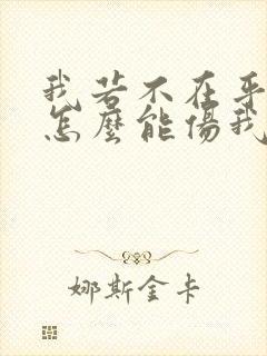 我若不在乎你你怎么能伤我是什么歌