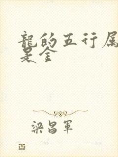 龙的五行属水还是金