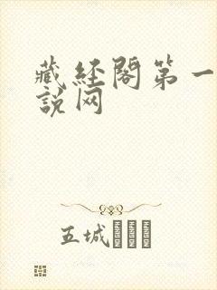 藏经阁第一版小说网