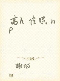高h 催眠 np