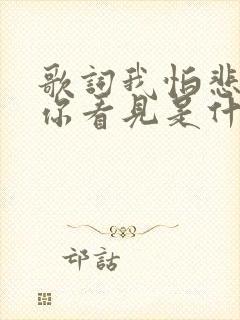 歌词我怕悲伤被你看见是什么歌