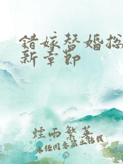 错嫁替婚总裁最新章节