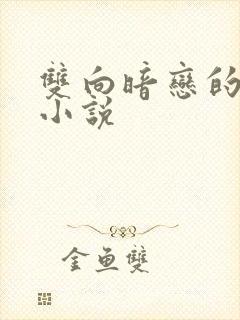 双向暗恋的言情小说