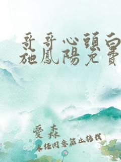 哥哥心头白月光施凤阳免费阅读全文