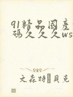 91精品国产乱码久久久ws