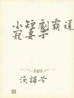 小短剧霸道总裁宠妻子