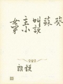 女主叫苏葵的快穿小说