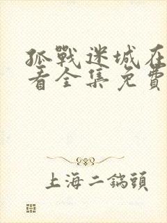 孤战迷城在线观看全集免费高清