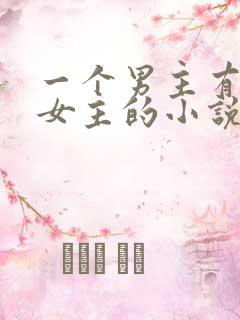 一个男主有很多女主的小说