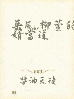 岳风,柳萱的赘婿当道