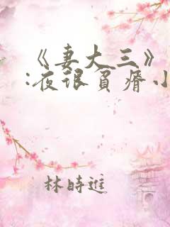 《妻大三》作者:夜很贫瘠小说
