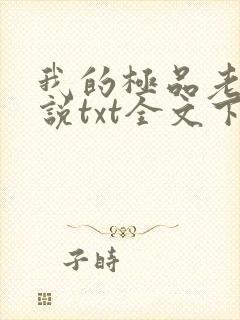 我的极品老婆小说txt全文下载