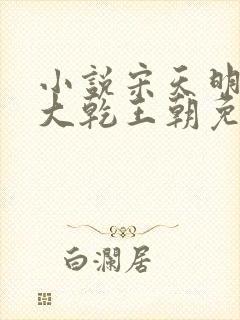 小说宋天明穿越大乾王朝免费阅读