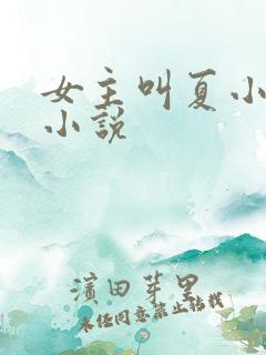 女主叫夏小星的小说