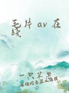 毛片 av 在线