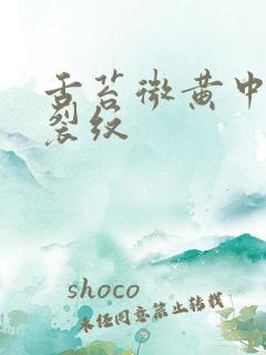 舌苔微黄中间有裂纹