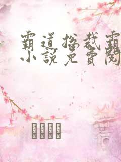 霸道总裁霸道爱小说免费阅读