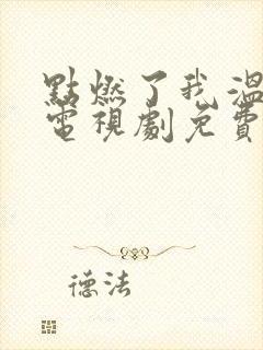 点燃了我温暖你电视剧免费观看