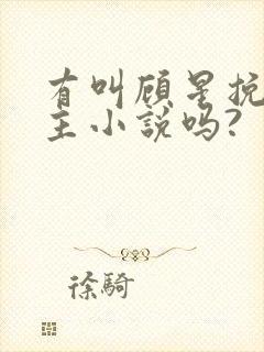 有叫顾星挽的女主小说吗?