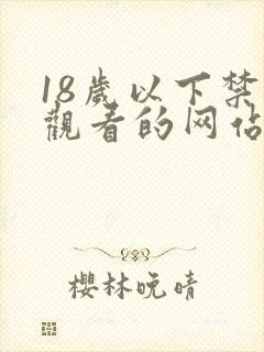 18岁以下禁止观看的网站久久综合