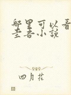 哪里可以看东野圭吾小说