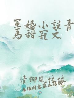 军婚小说青梅竹马甜宠文