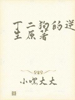 丁二狗的逆袭人生原著