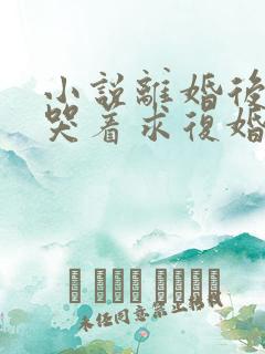 小说离婚后前夫哭着求复婚txt