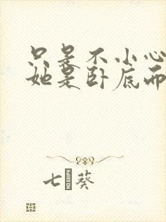 只是不小心发现她是卧底而已(强取豪夺)番外