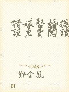 错嫁替婚总裁小说免费阅读