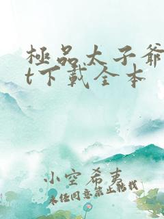 极品太子爷txt下载全本