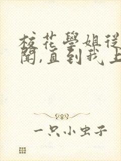 校花学姐从无绯闻,直到我上大学免费阅读