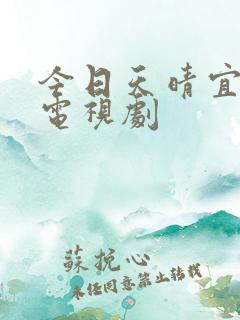 今日天晴宜爱你电视剧